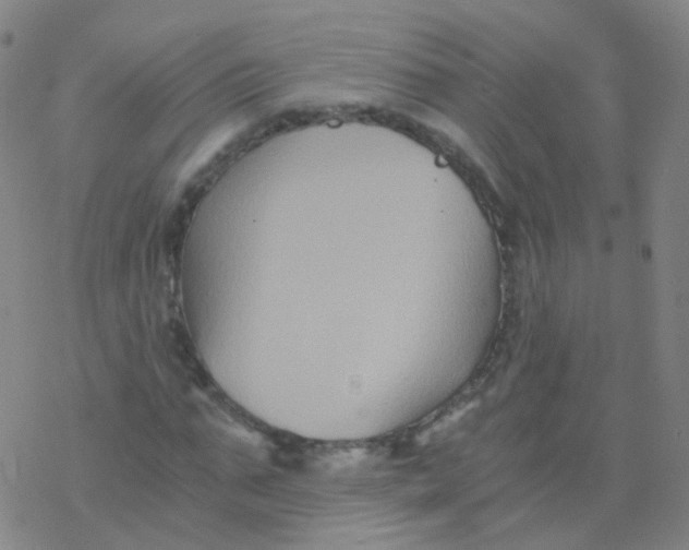 X0000076450871200610271821