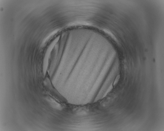 X0000076450872200610271821