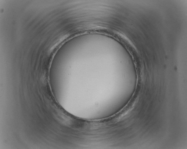 X0000076450873200610271821