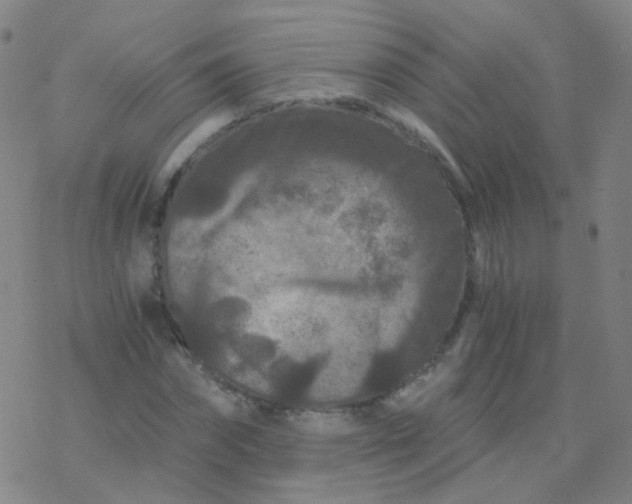 X0000076450874200610271821