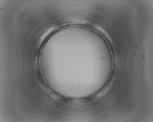 X0000076450875200610271821