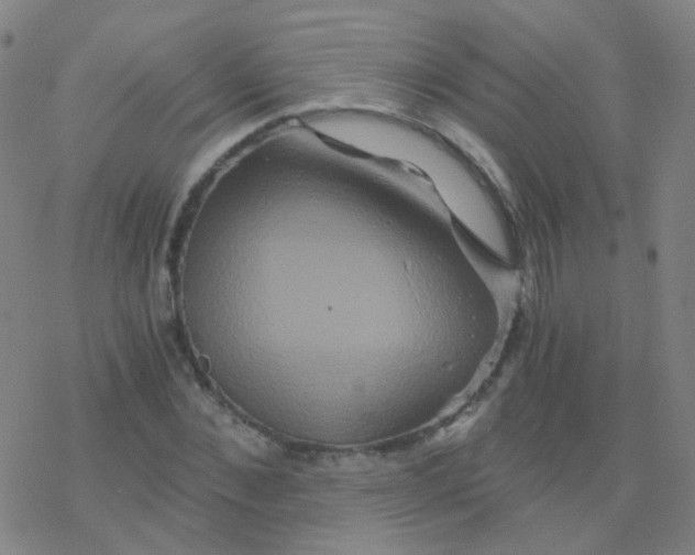 X0000076450876200610271821