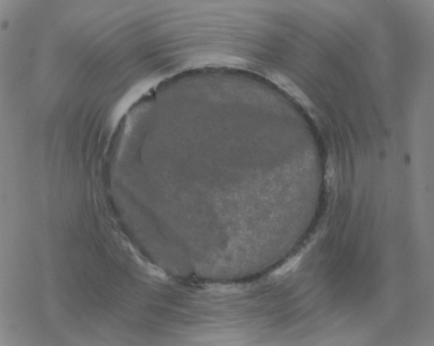 X0000076450877200610271821