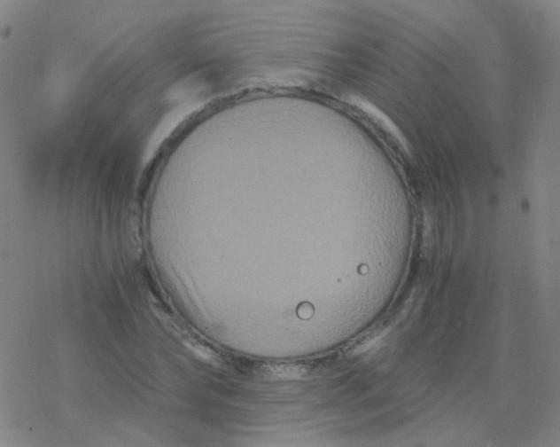 X0000076450878200610271821