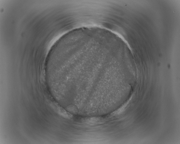 X0000076450879200610271821