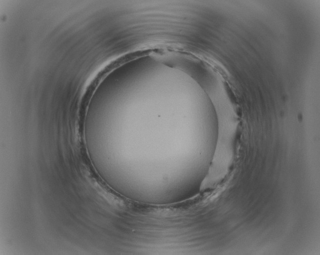 X0000076450880200610271821