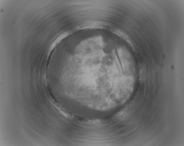 X0000076450882200610271821