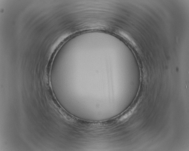 X0000076450883200610271821