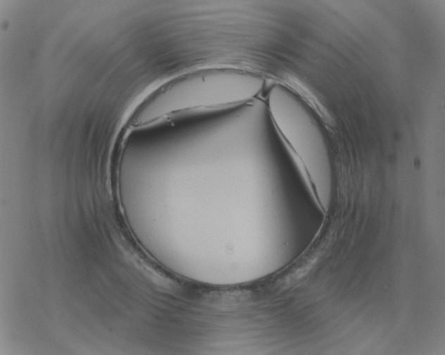 X0000076450884200610271821