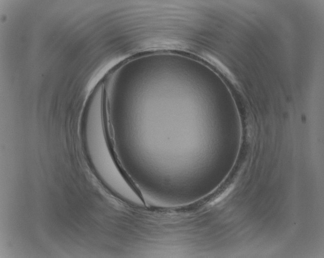 X0000076450885200610271821