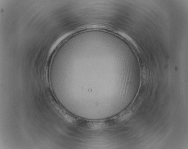 X0000076450886200610271821