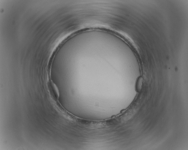 X0000076450887200610271821