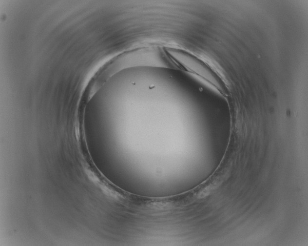 X0000076450888200610271821