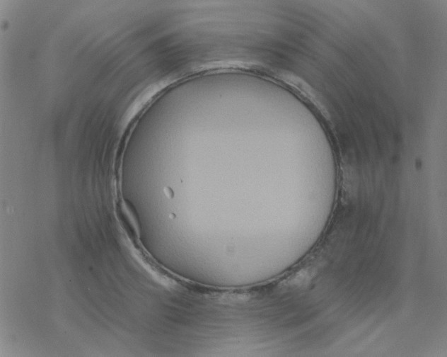 X0000076450890200610271821