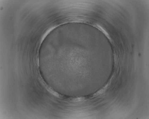 X0000076450891200610271821