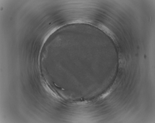 X0000076450892200610271821