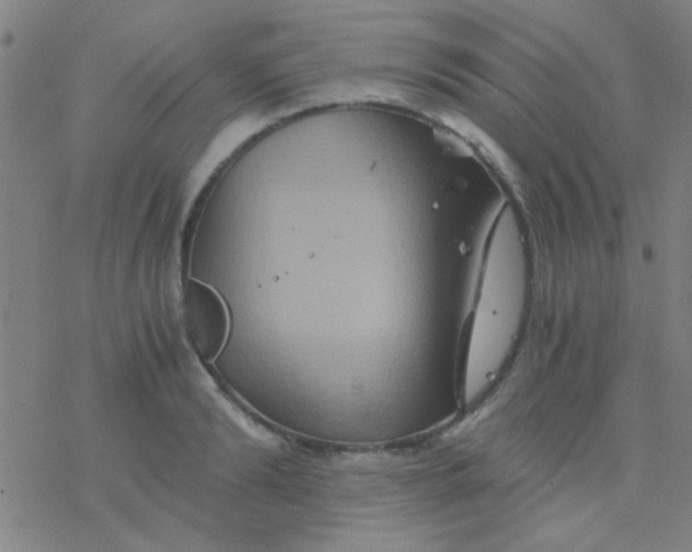 X0000076450894200610271821