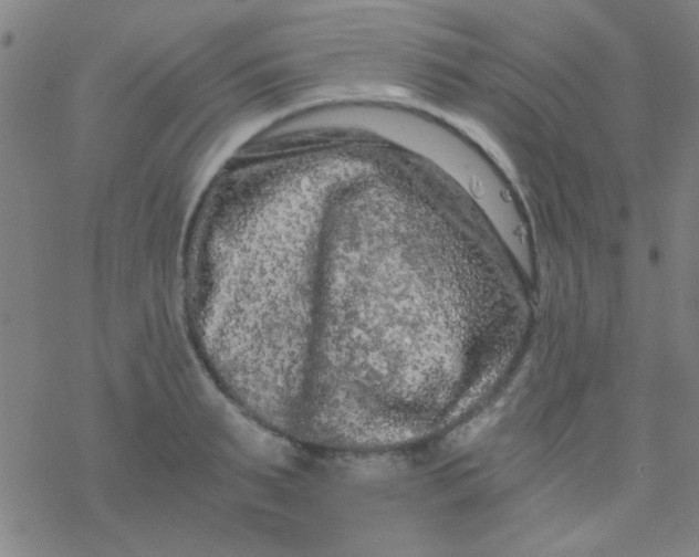 X0000076450895200610271821