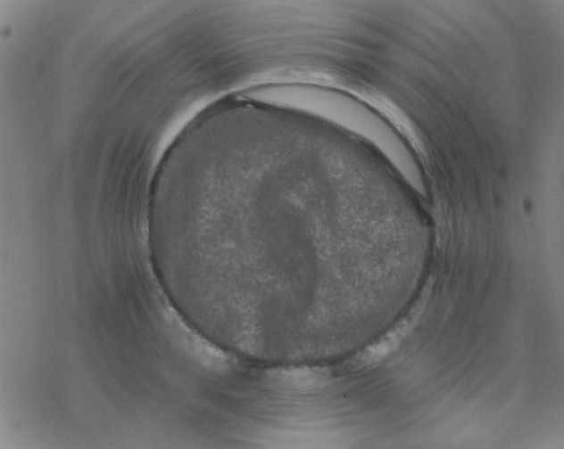 X0000076450896200610271821