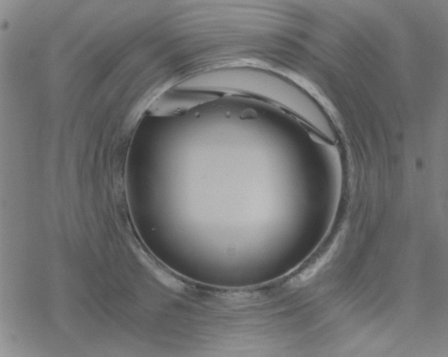 X0000076450897200610271821