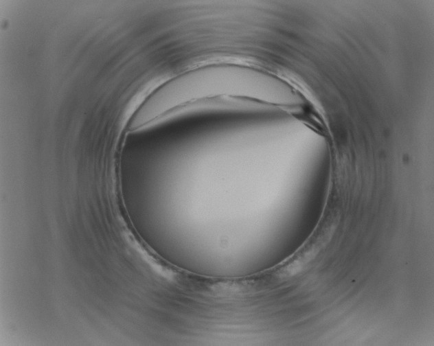 X0000076450898200610271821