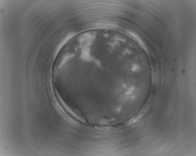 X0000076450899200610271821