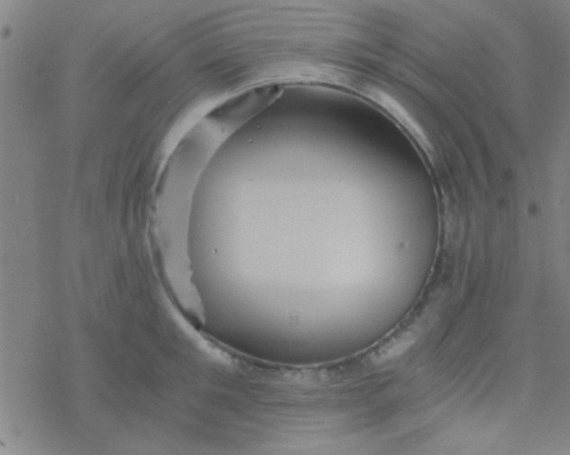 X0000076450901200610271821