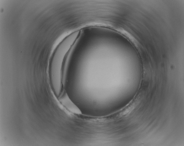 X0000076450902200610271821