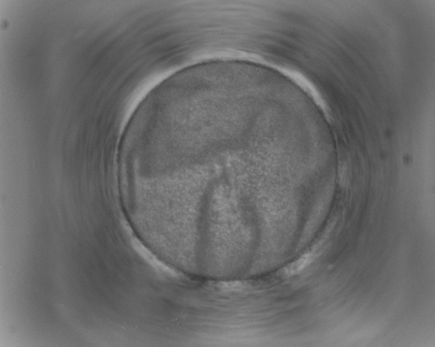 X0000076450903200610271821