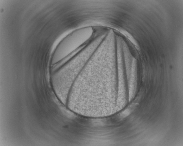 X0000076450904200610271821