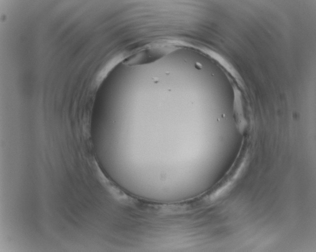 X0000076450905200610271821