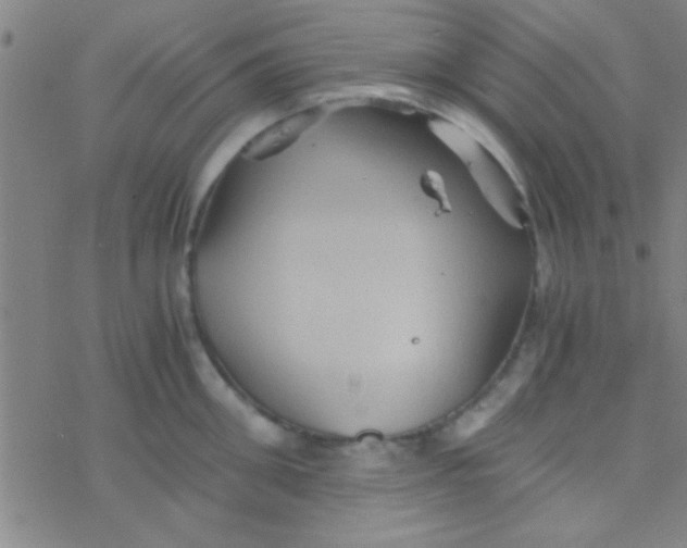 X0000076450906200610271821