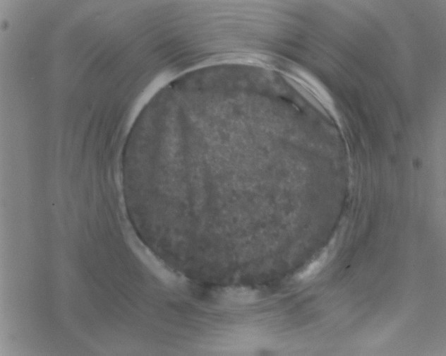 X0000076450907200610271821