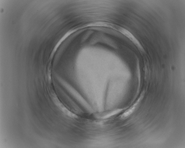 X0000076450908200610271821