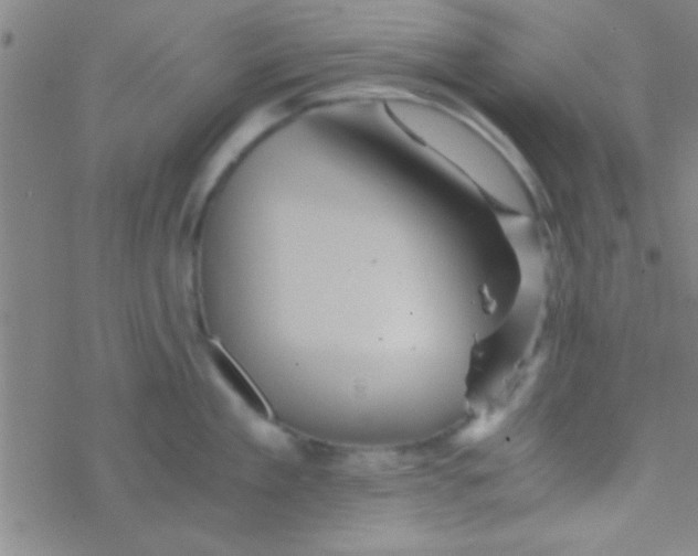 X0000076450909200610271821