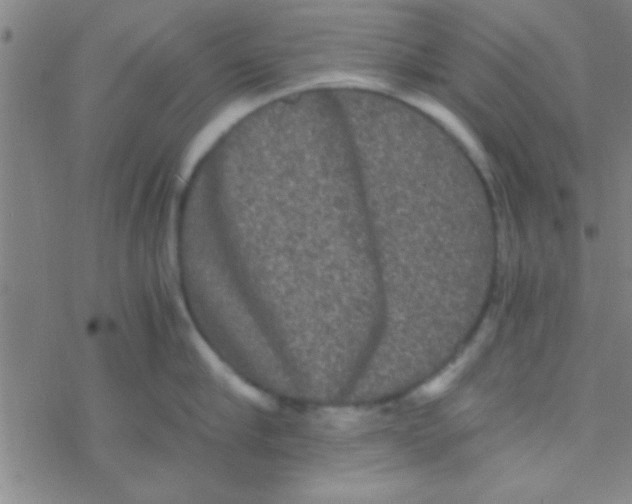 X0000076450910200610271821