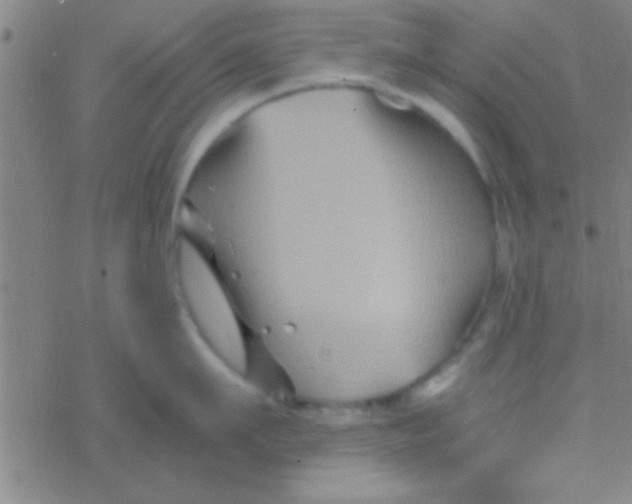 X0000076450911200610271821