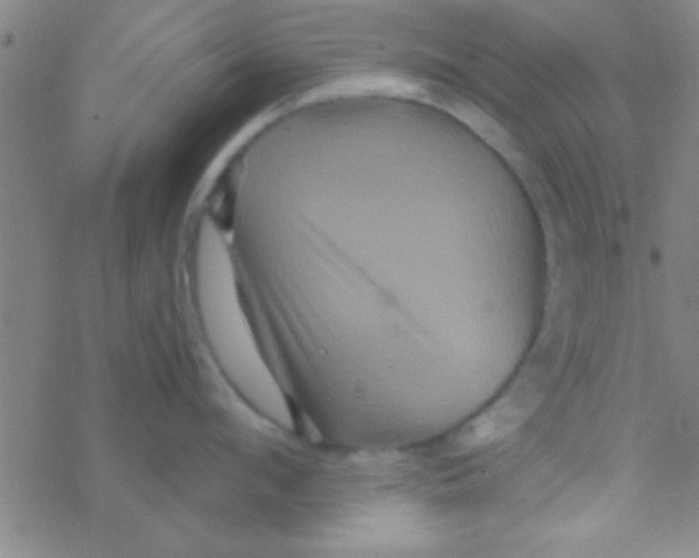 X0000076450912200610271821