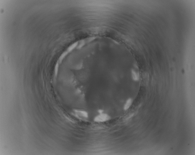 X0000076450913200610271820