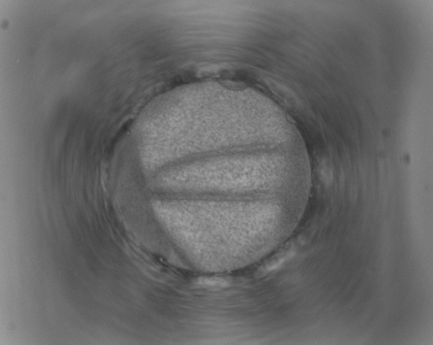 X0000076450914200610271820