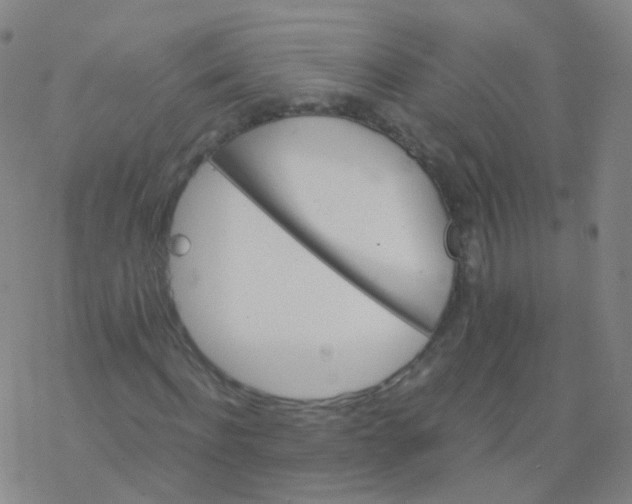 X0000076450916200610271820