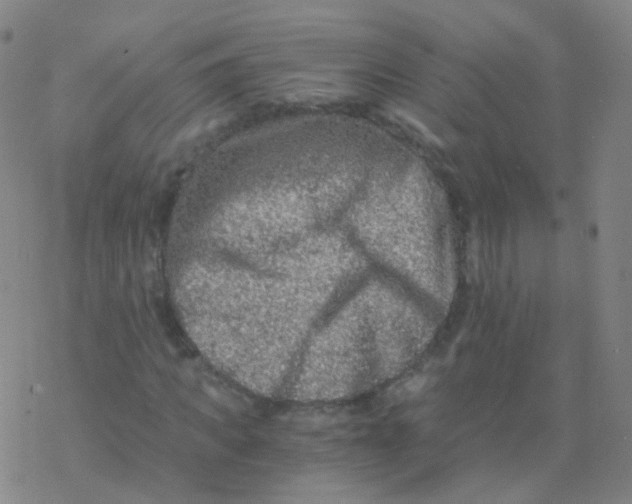 X0000076450917200610271820