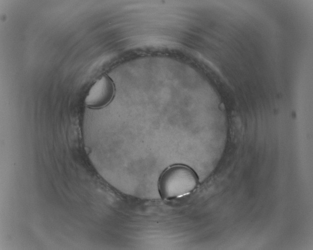 X0000076450918200610271820