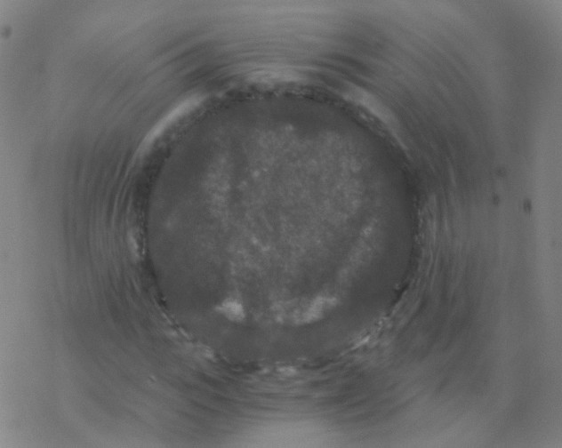 X0000076450919200610271820