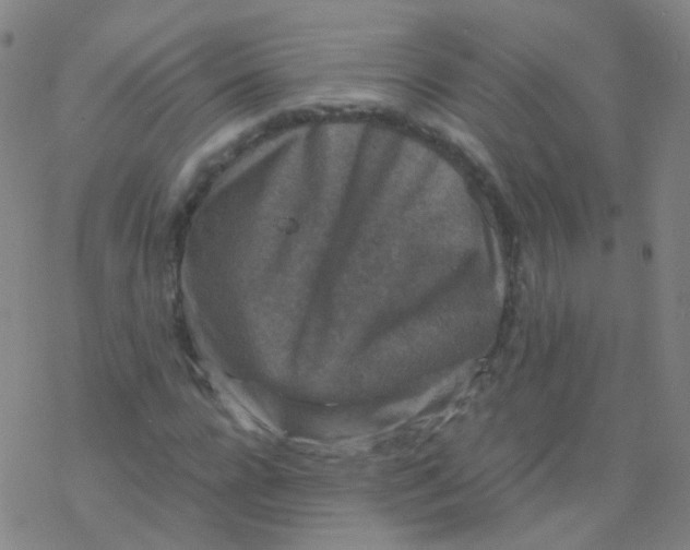 X0000076450920200610271820