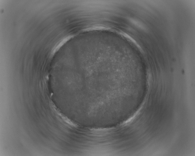 X0000076450921200610271820