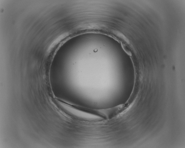 X0000076450922200610271820