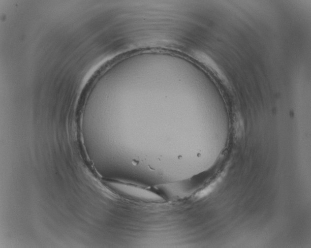 X0000076450924200610271820