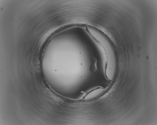 X0000076450926200610271820