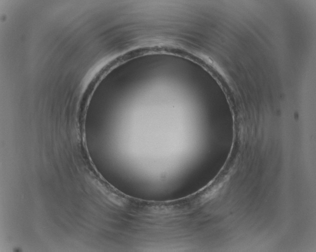 X0000076450927200610271820